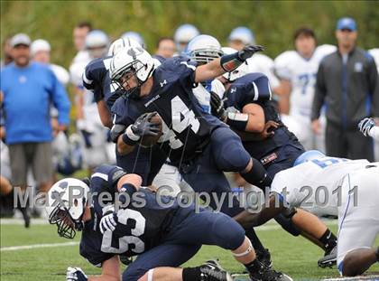 Thumbnail 3 in Bunnell @ Immaculate photogallery.