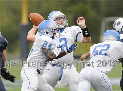 Thumbnail 1 in Bunnell @ Immaculate photogallery.