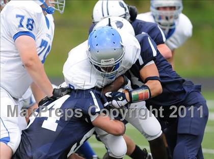 Thumbnail 3 in Bunnell @ Immaculate photogallery.