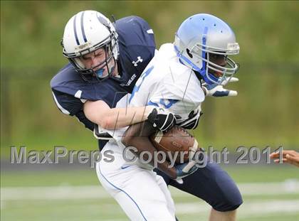 Thumbnail 3 in Bunnell @ Immaculate photogallery.