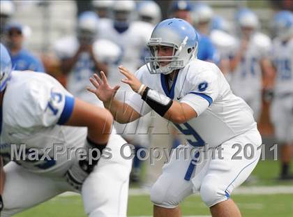 Thumbnail 1 in Bunnell @ Immaculate photogallery.