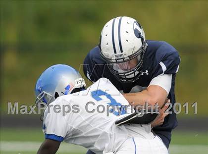 Thumbnail 2 in Bunnell @ Immaculate photogallery.