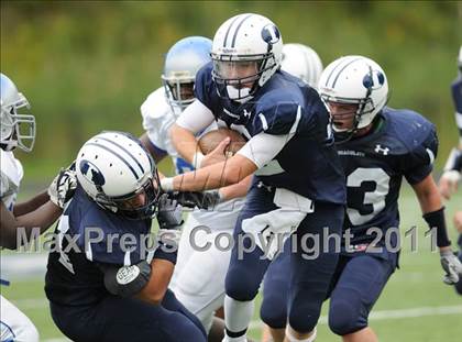 Thumbnail 3 in Bunnell @ Immaculate photogallery.