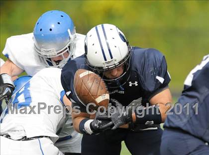 Thumbnail 1 in Bunnell @ Immaculate photogallery.