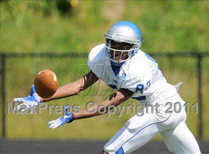 Thumbnail 3 in Bunnell @ Immaculate photogallery.