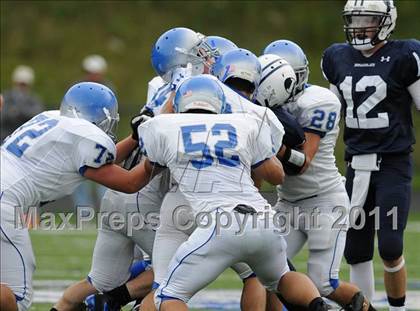 Thumbnail 2 in Bunnell @ Immaculate photogallery.
