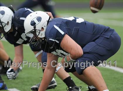 Thumbnail 3 in Bunnell @ Immaculate photogallery.