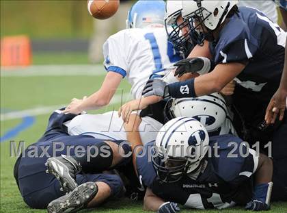 Thumbnail 2 in Bunnell @ Immaculate photogallery.