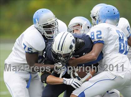 Thumbnail 1 in Bunnell @ Immaculate photogallery.