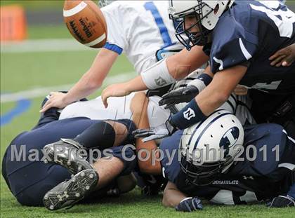 Thumbnail 3 in Bunnell @ Immaculate photogallery.