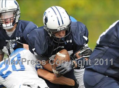 Thumbnail 3 in Bunnell @ Immaculate photogallery.