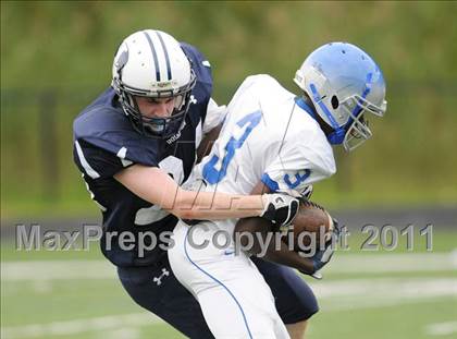 Thumbnail 1 in Bunnell @ Immaculate photogallery.