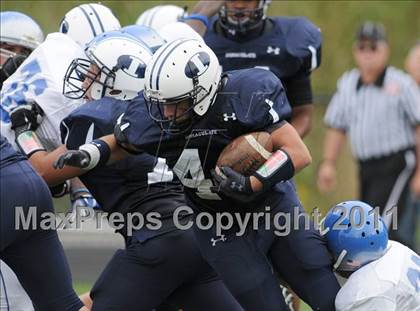Thumbnail 3 in Bunnell @ Immaculate photogallery.