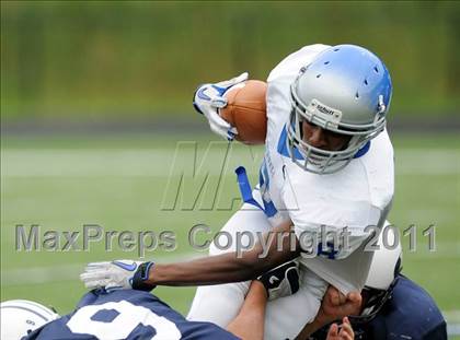Thumbnail 1 in Bunnell @ Immaculate photogallery.