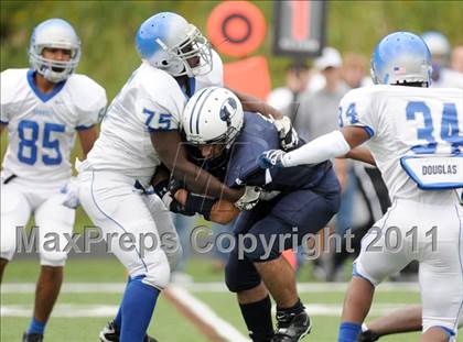 Thumbnail 1 in Bunnell @ Immaculate photogallery.