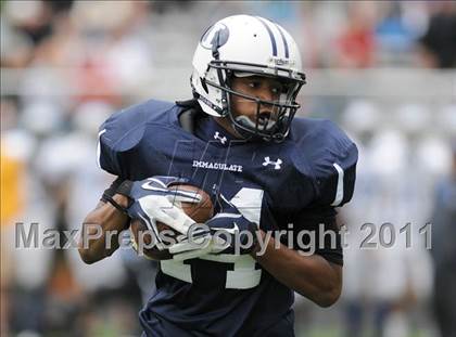 Thumbnail 2 in Bunnell @ Immaculate photogallery.