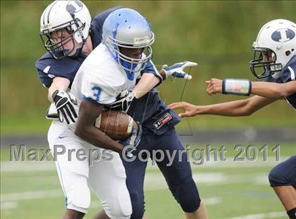 Thumbnail 2 in Bunnell @ Immaculate photogallery.