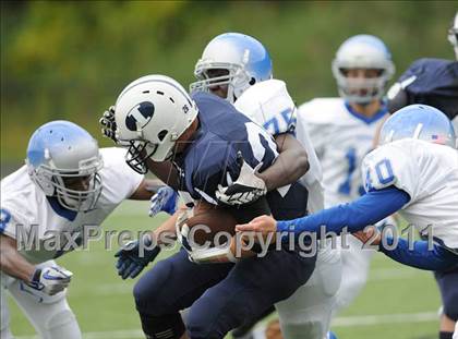 Thumbnail 2 in Bunnell @ Immaculate photogallery.