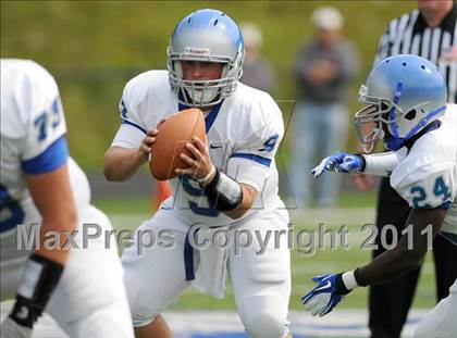 Thumbnail 3 in Bunnell @ Immaculate photogallery.