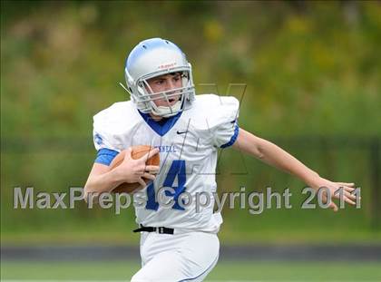 Thumbnail 3 in Bunnell @ Immaculate photogallery.