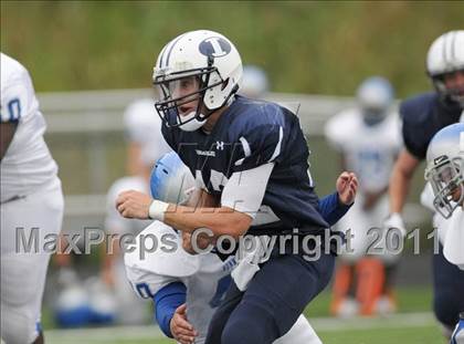 Thumbnail 2 in Bunnell @ Immaculate photogallery.