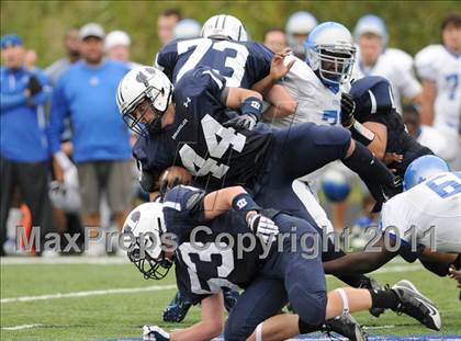 Thumbnail 1 in Bunnell @ Immaculate photogallery.