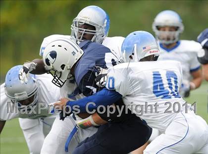 Thumbnail 3 in Bunnell @ Immaculate photogallery.