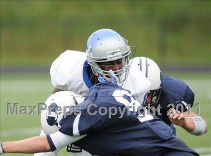 Thumbnail 3 in Bunnell @ Immaculate photogallery.
