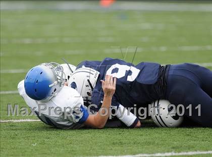 Thumbnail 3 in Bunnell @ Immaculate photogallery.