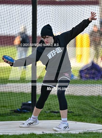 Thumbnail 1 in Wes-Del Triangular (Discus)  photogallery.