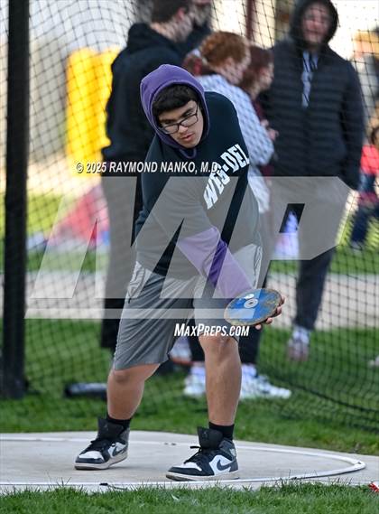 Thumbnail 1 in Wes-Del Triangular (Discus)  photogallery.
