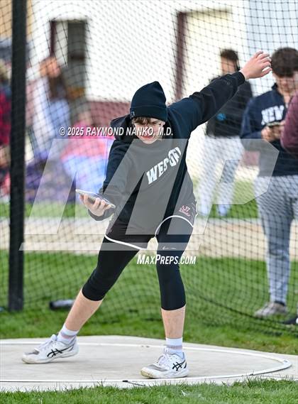 Thumbnail 2 in Wes-Del Triangular (Discus)  photogallery.