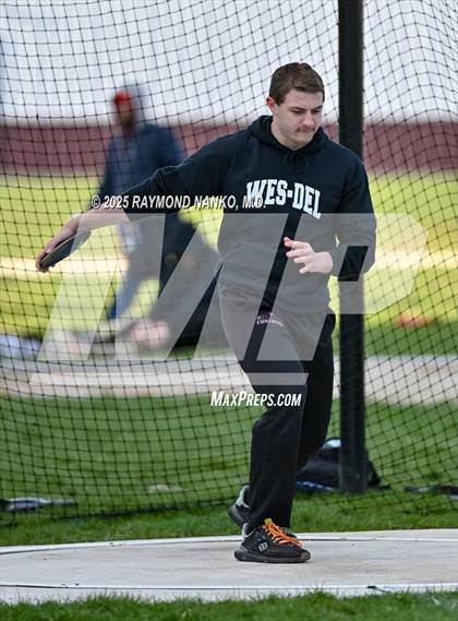 Thumbnail 1 in Wes-Del Triangular (Discus)  photogallery.