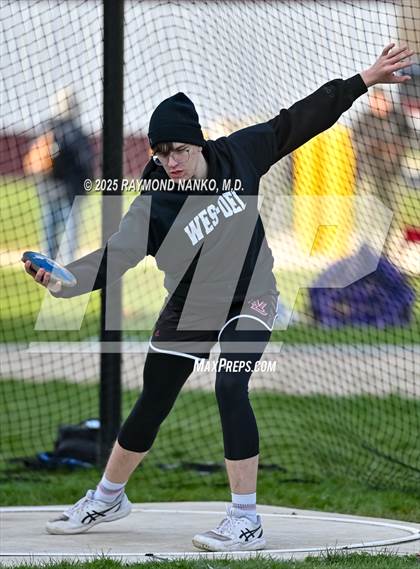 Thumbnail 2 in Wes-Del Triangular (Discus)  photogallery.
