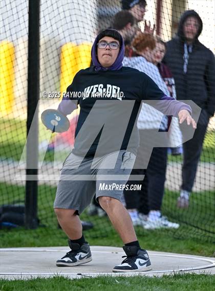 Thumbnail 3 in Wes-Del Triangular (Discus)  photogallery.