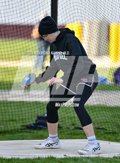 Thumbnail 3 in Wes-Del Triangular (Discus)  photogallery.
