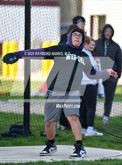 Thumbnail 1 in Wes-Del Triangular (Discus)  photogallery.