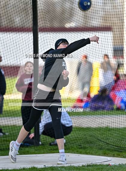 Thumbnail 2 in Wes-Del Triangular (Discus)  photogallery.