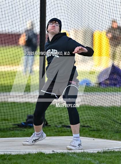 Thumbnail 1 in Wes-Del Triangular (Discus)  photogallery.