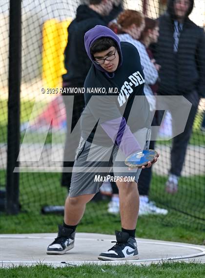 Thumbnail 2 in Wes-Del Triangular (Discus)  photogallery.