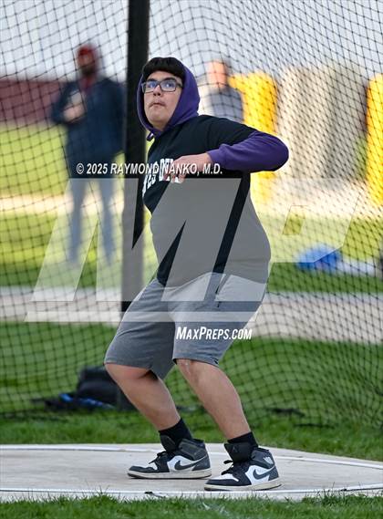 Thumbnail 1 in Wes-Del Triangular (Discus)  photogallery.