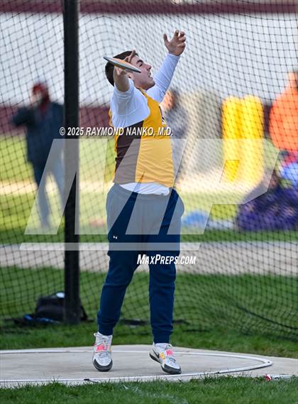 Thumbnail 1 in Wes-Del Triangular (Discus)  photogallery.