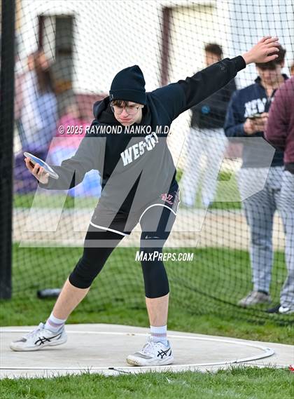Thumbnail 1 in Wes-Del Triangular (Discus)  photogallery.