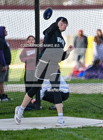 Thumbnail 1 in Wes-Del Triangular (Discus)  photogallery.