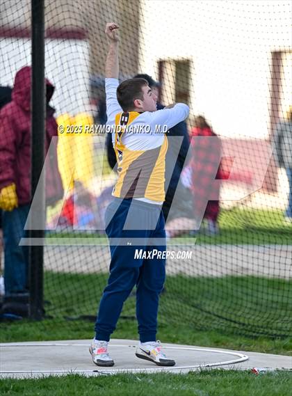 Thumbnail 1 in Wes-Del Triangular (Discus)  photogallery.