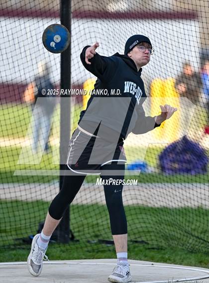 Thumbnail 1 in Wes-Del Triangular (Discus)  photogallery.