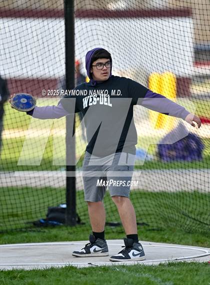 Thumbnail 1 in Wes-Del Triangular (Discus)  photogallery.