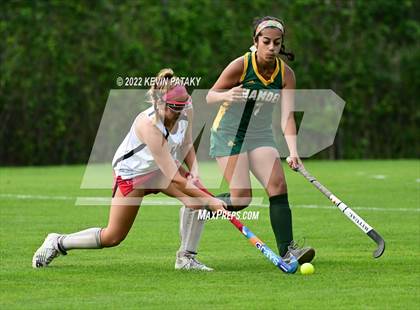 Thumbnail 2 in Hamden @ Sacred Heart Academy photogallery.