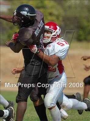 Thumbnail 2 in Vallejo @ Johnson photogallery.