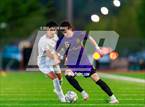 Photo from the gallery "Curtis @ Sumner"
